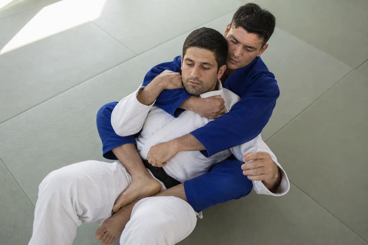 Rear naked choke vs bow and arrow