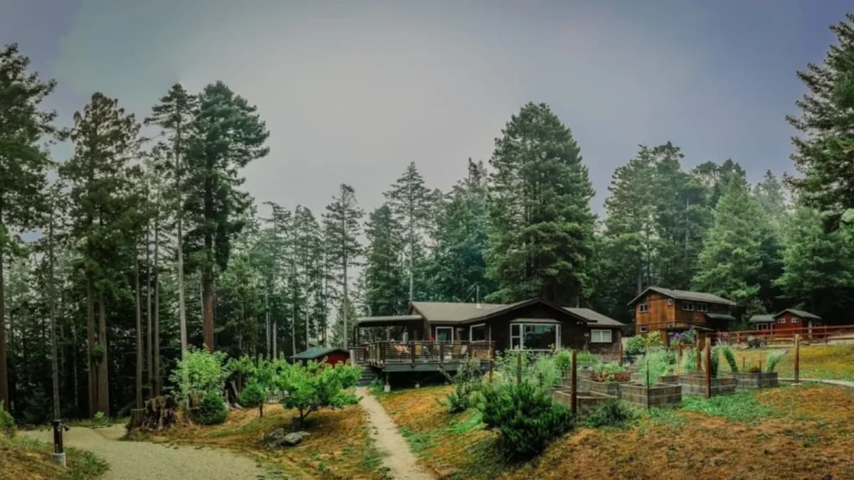 Grappler's Retreat With Adam Wardzinski - October 2026