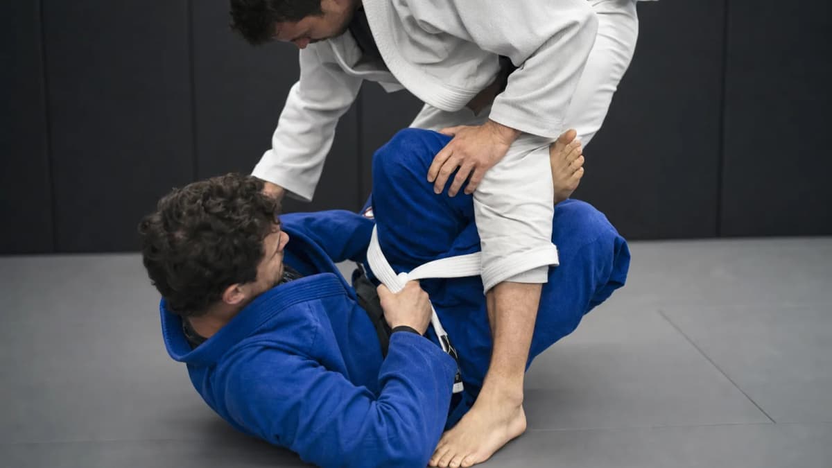 Lapel Guard