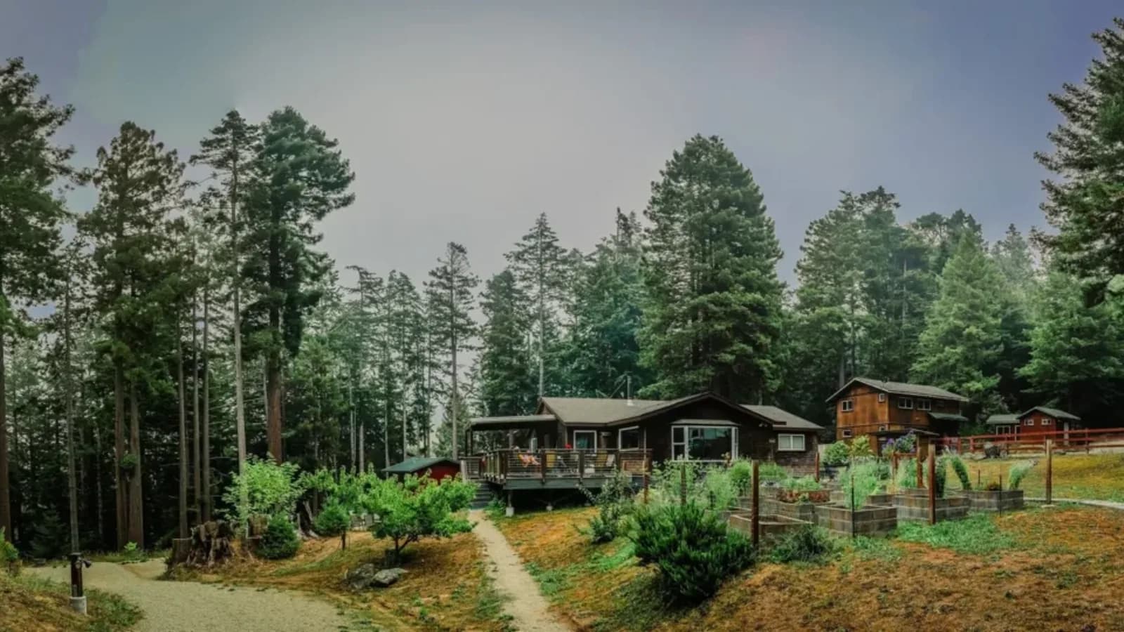 Grappler's Retreat With Adam Wardzinski - October 2026